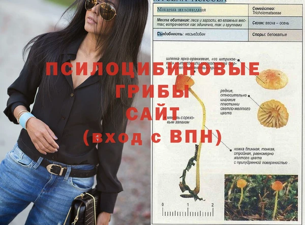 эйфоретик Балабаново