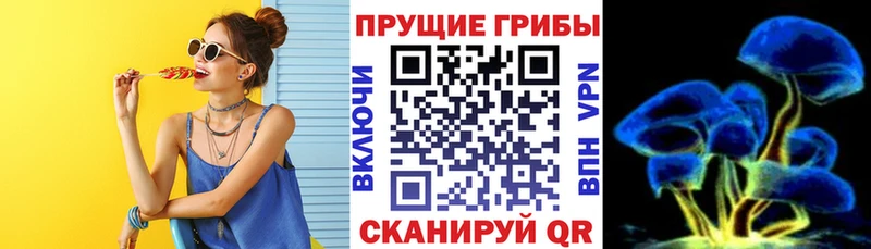 Псилоцибиновые грибы GOLDEN TEACHER  блэк спрут вход  darknet Telegram  Салаир 