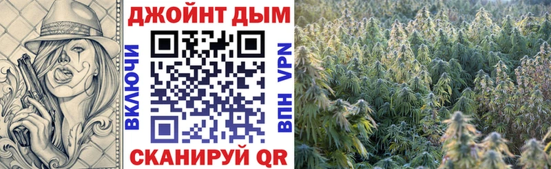 магазин продажи наркотиков  Салаир  Каннабис планчик 